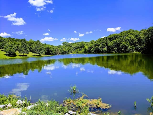 Wallace State Park - Image 2