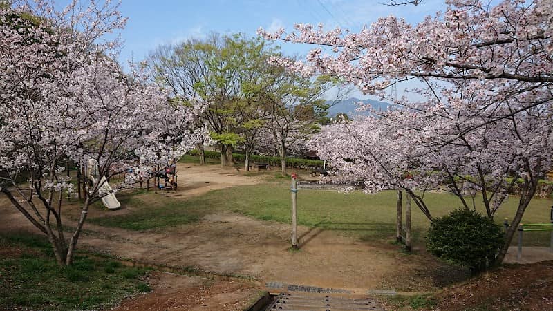 Adventure Park - Image 1