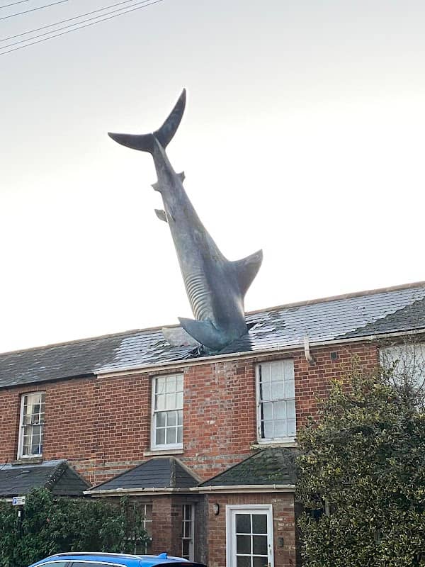 The Headington Shark - Image 1