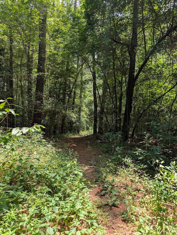 Gayla Mize Garden - Image 2