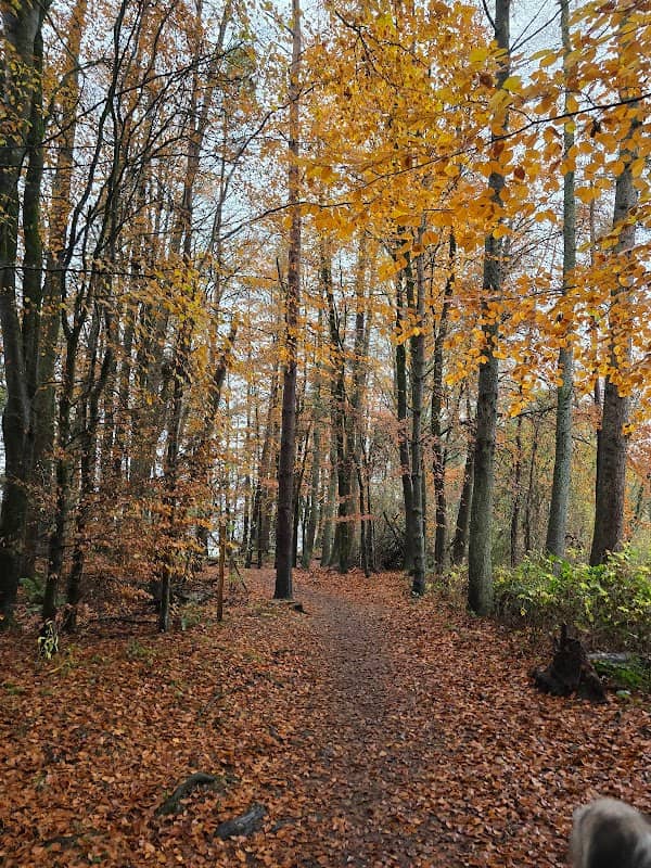 Doune Ponds - Image 1