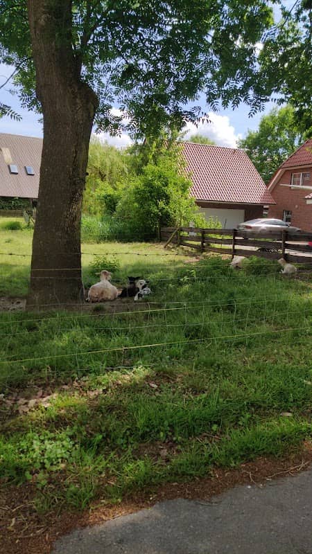 Mittelpunkt Hiddigwarden - Image 1