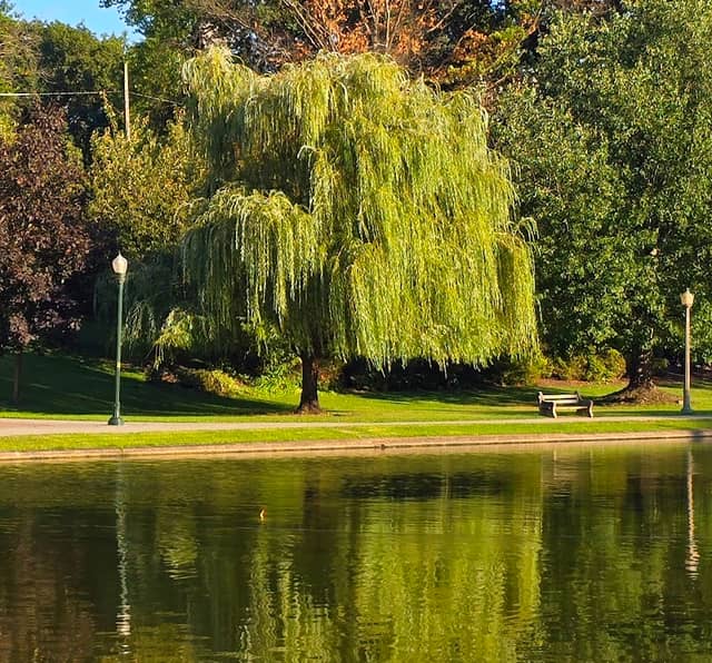 Italian Lake Park - Image 1