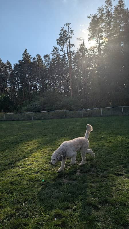 The Duntroon Dog Park - Image 1