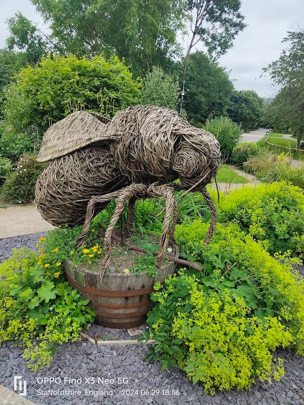Giant Bee - Image 2