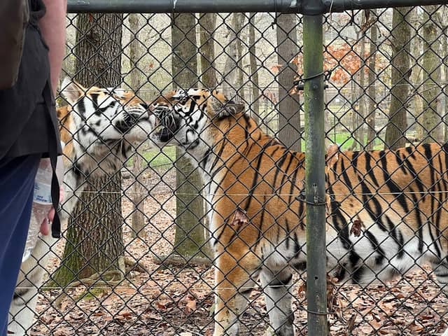 Noah's Ark Animal Sanctuary - Image 1