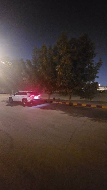 شجرة فهد - Image 2
