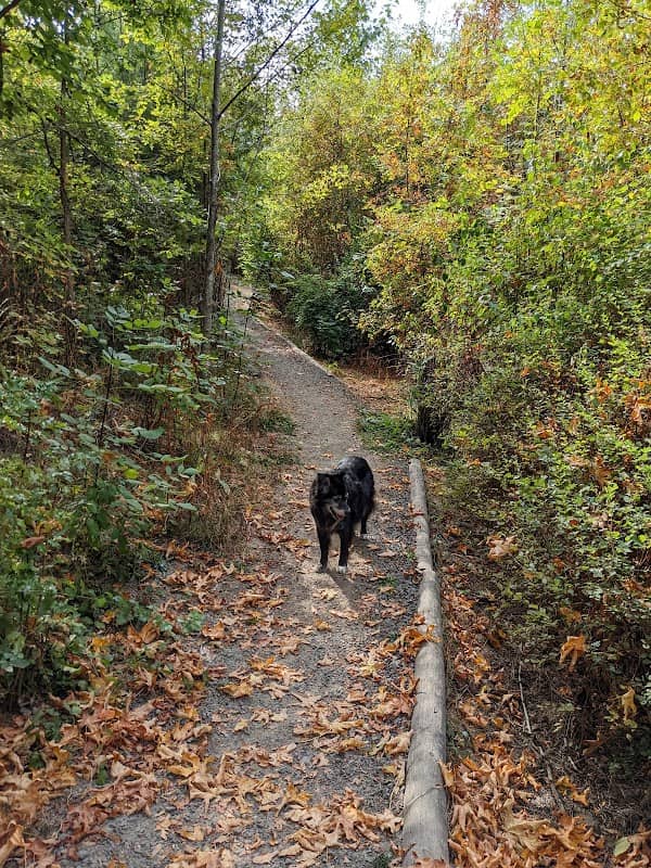 Bauman Park - Image 1