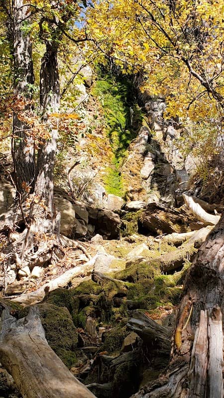 Bear Butte Creek Waterfall - Image 1