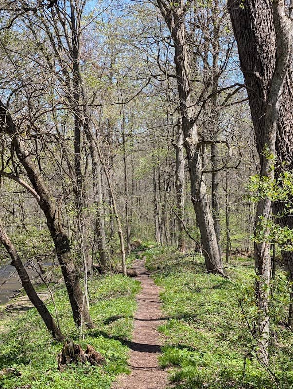 Bennett Park - Image 3