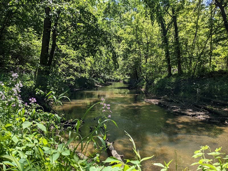 Bennett Park - Image 1