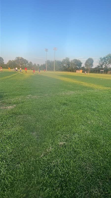 Campo de los mojarras - Image 2