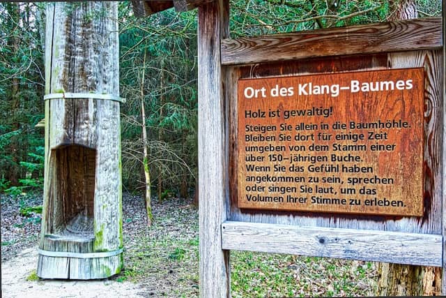 Ort des Klangbaumes - Image 1