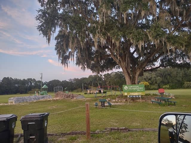 Cornelius Williams Park - Image 1