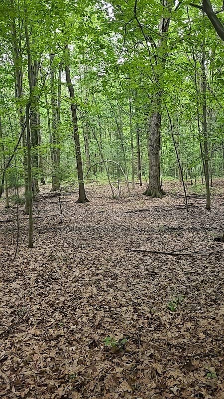 Huron Park - Image 3