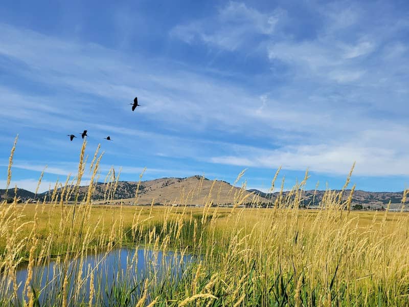 Sierra Valley Preserve Nature Center - Image 2