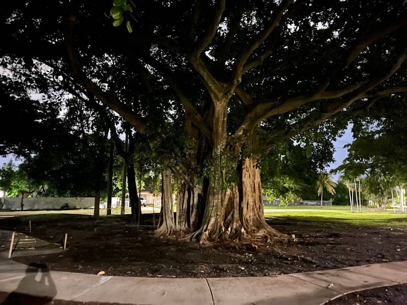 Sauls Park - Image 2