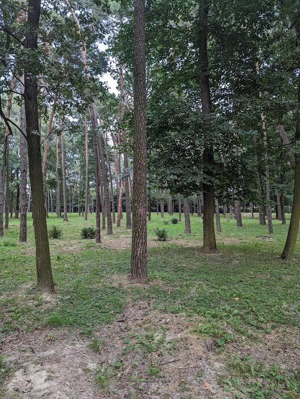 Park Zatorze - Image 1