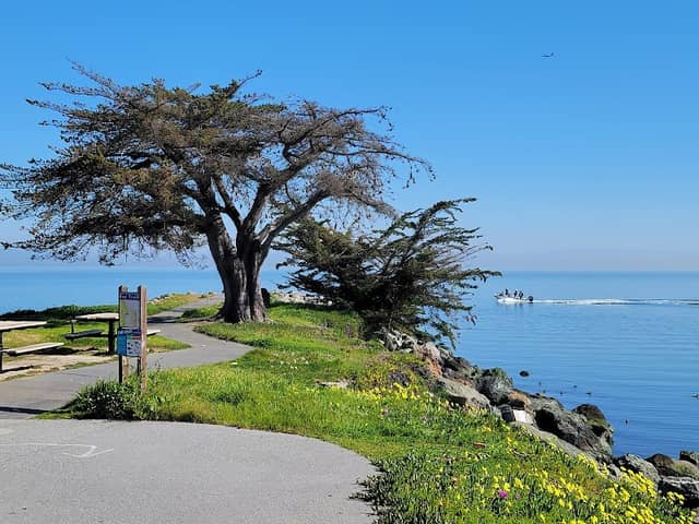 Point San Bruno Park - Image 2