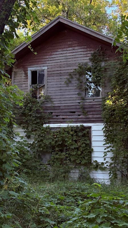 Maple Hill - Image 1