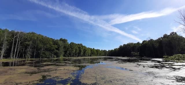 Iroquois NWR Kumpf Marsh - Image 1