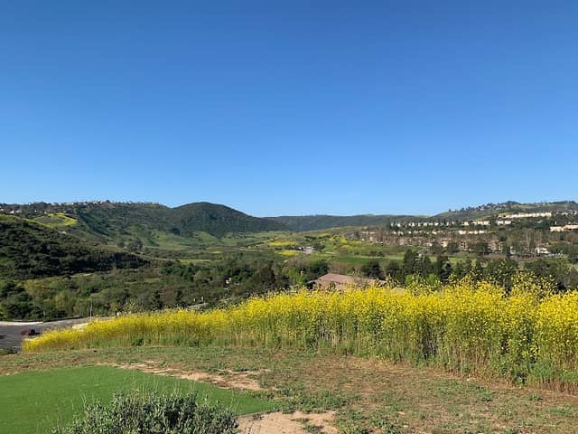 Kite Hill - Image 1