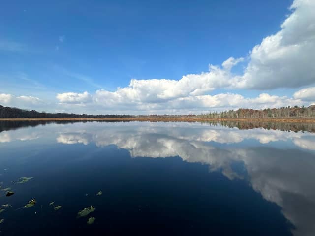 Lucia S. Nash Preserve - Image 1
