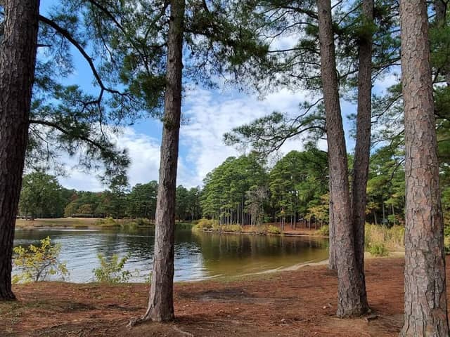 Overlook Park - Image 1