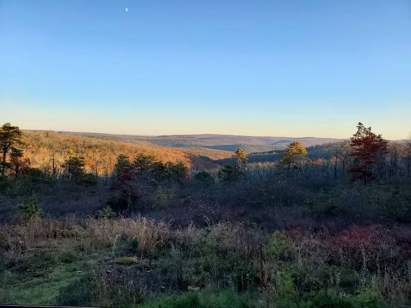 Michaux State Forest District Office - Image 2
