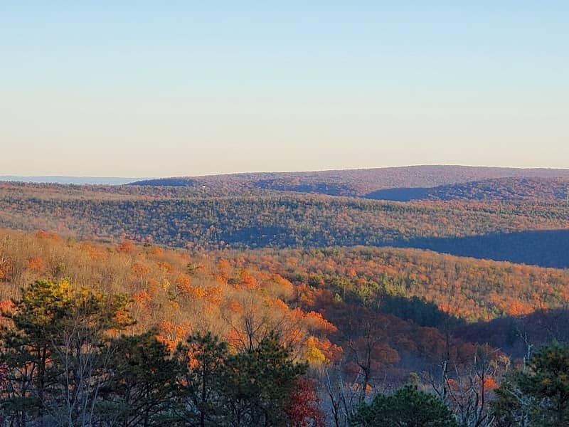 Michaux State Forest District Office - Image 1