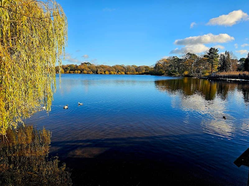 Petersfield Heath & Pond/Lake - Image 1
