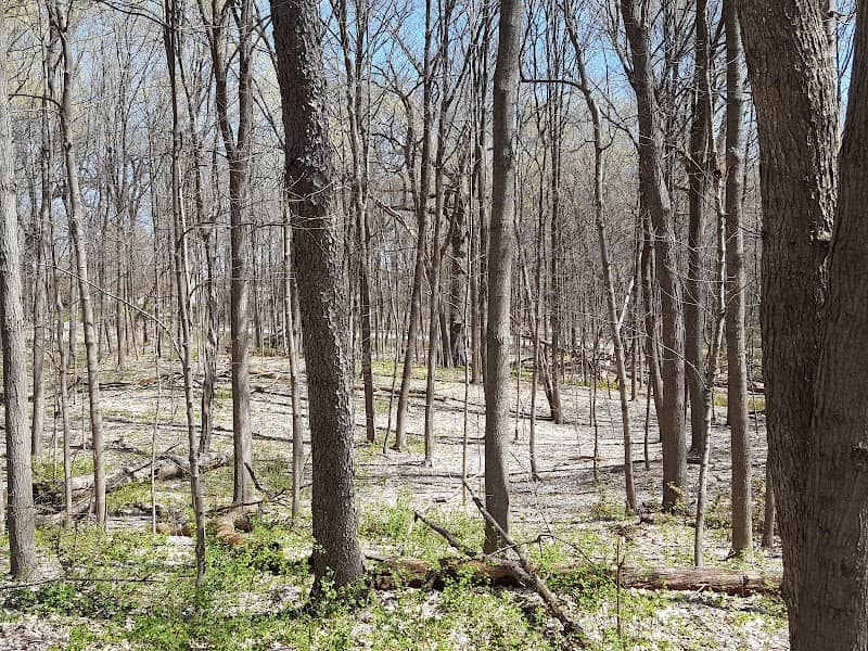 Sherwood Park - Image 2
