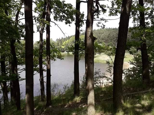Nature Reserve Dybanka - Image 1