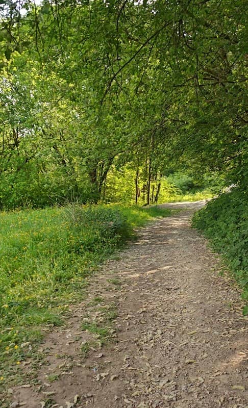 Boarshaw Clough Nature Reserve - Image 2