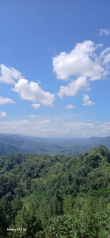 Bukit pentulu indah - Image 1