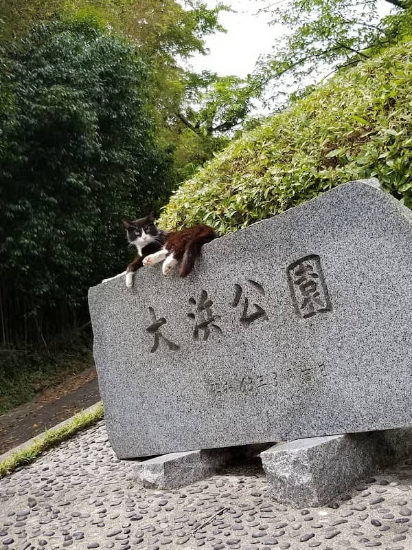 Ohama Park - Image 1