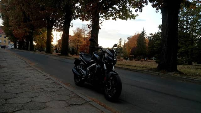 Park miejski - Image 1