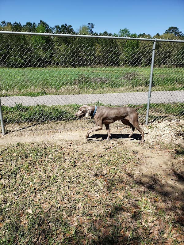 Camellia City Bark Park - Image 1