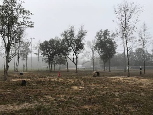 Camellia City Bark Park - Image 2