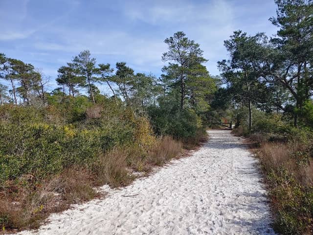 Naval Live Oaks Nature Preserve - Image 2