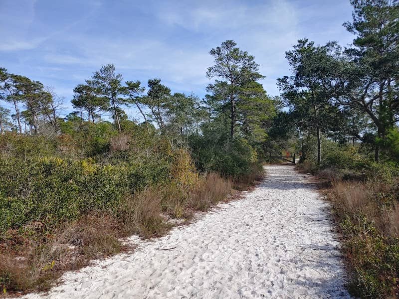 Naval Live Oaks Nature Preserve - Image 2