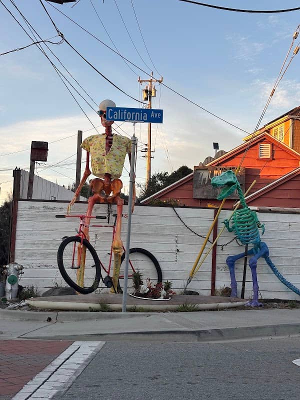 Giant Skeleton and Dinosaur Duo - Image 2