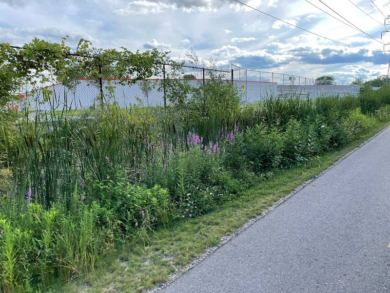 MALT Trail (Welch to Decker) - Image 2