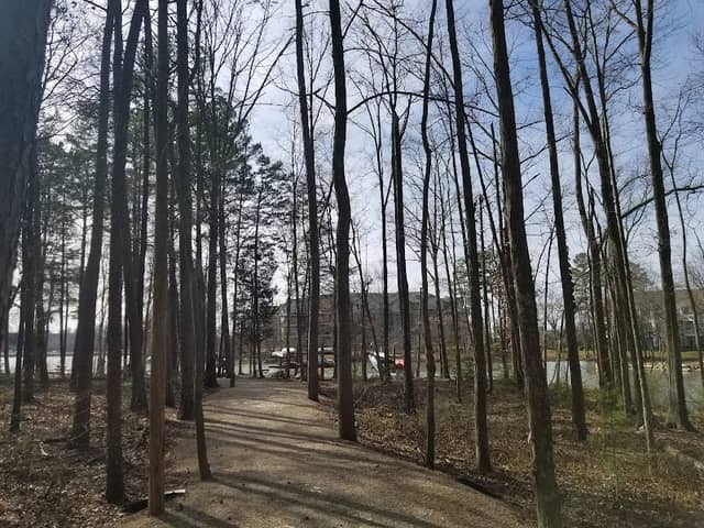 Parham Park - Image 2