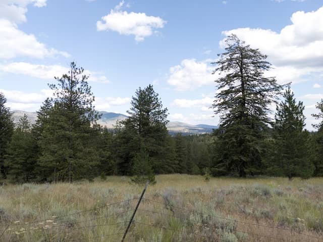 Bannon Mountain Trailhead - Image 3