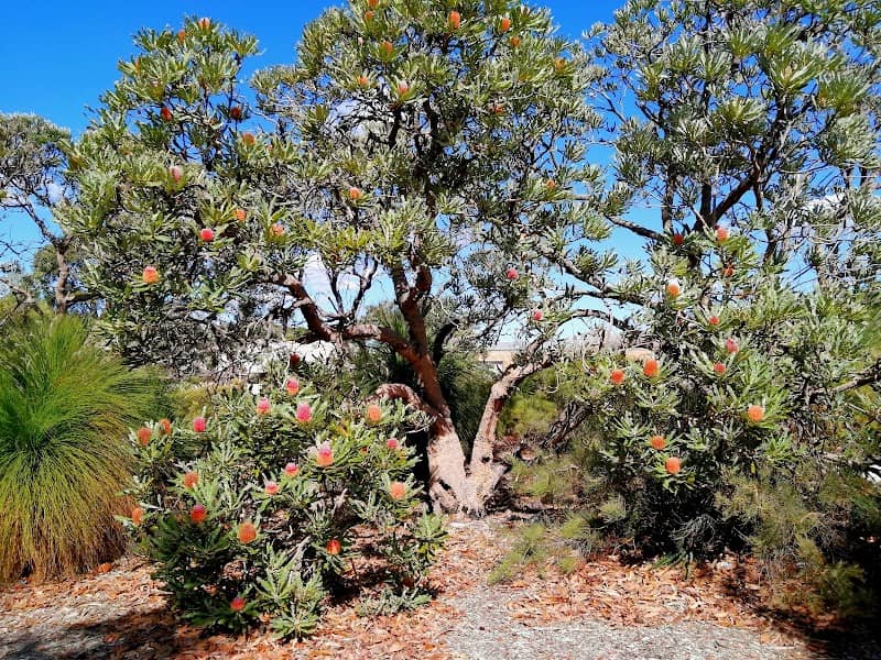 Redmond Reserve - Image 3