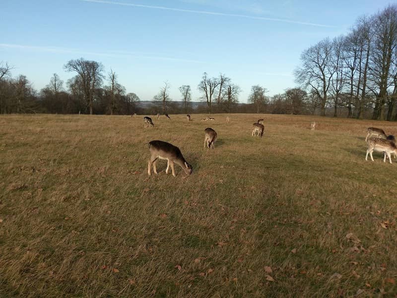 Knole Park Duchess Walk Entrance - Image 2