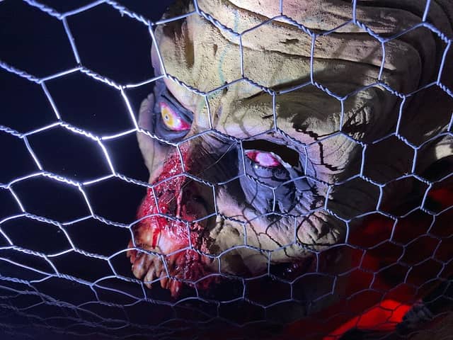 The Haunted Hill - Image 2