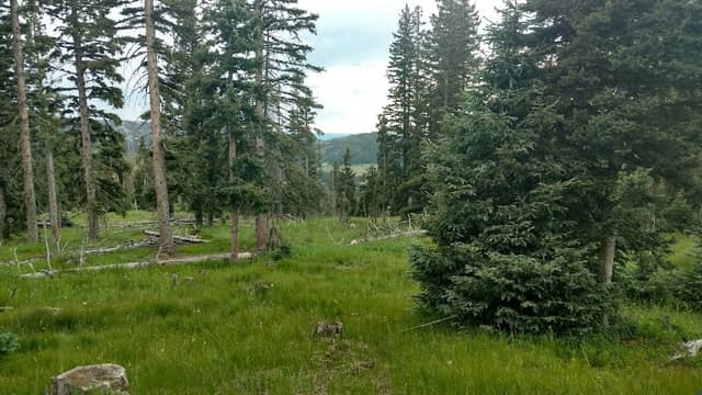Poso Park - Image 1