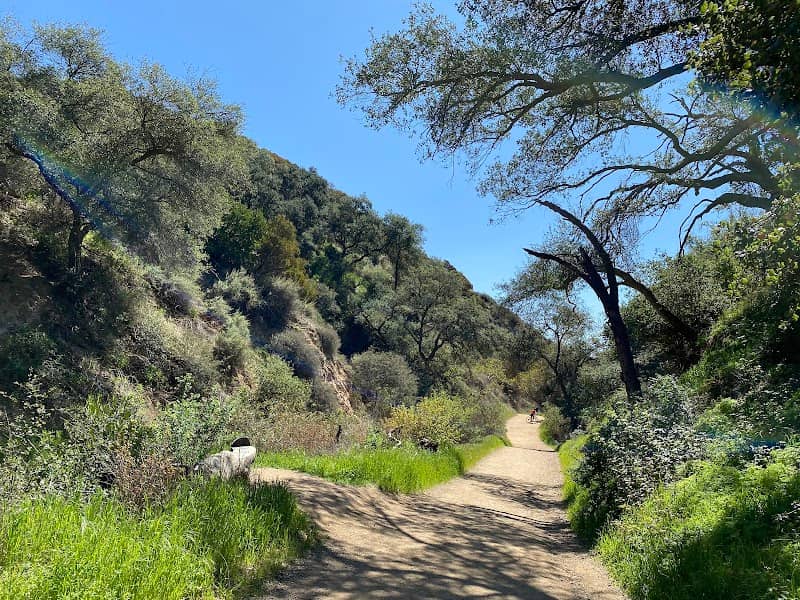 Claremont Hills Wilderness Park - Image 5